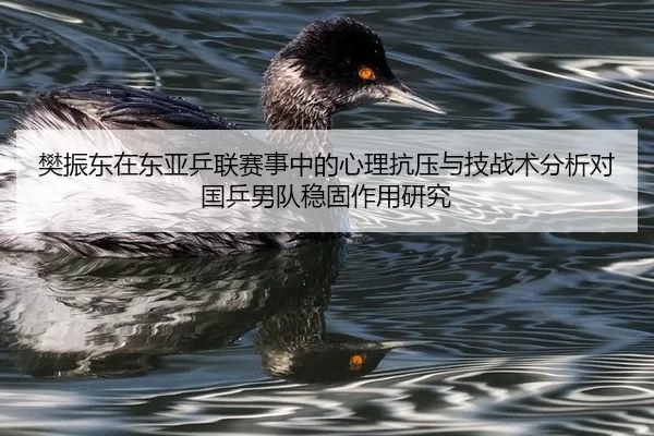 樊振东在东亚乒联赛事中的心理抗压与技战术分析对国乒男队稳固作用研究